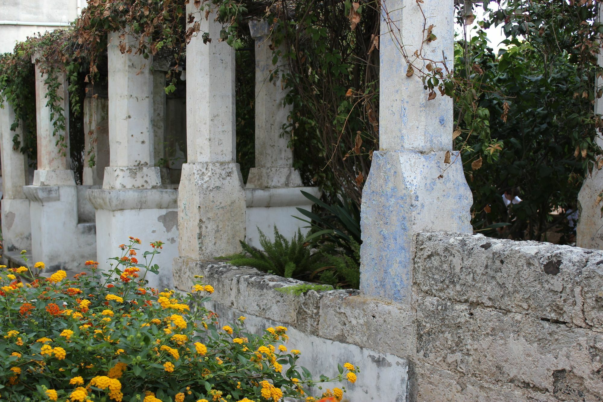 Masseria Pagani Nardò Exterior foto
